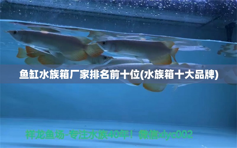 鱼缸水族箱厂家排名前十位(水族箱十大品牌)