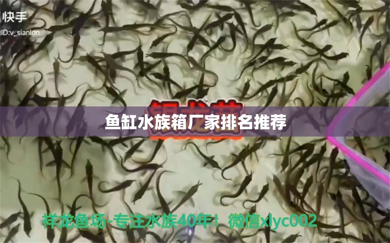 鱼缸水族箱厂家排名推荐