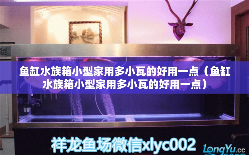 鱼缸水族箱小型家用多小瓦的好用一点（鱼缸水族箱小型家用多小瓦的好用一点）