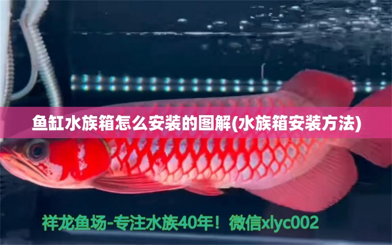 鱼缸水族箱怎么安装的图解(水族箱安装方法)