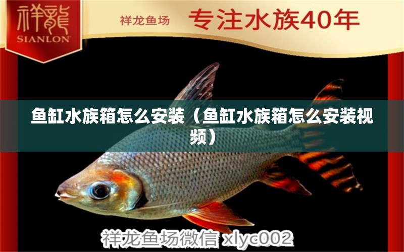 鱼缸水族箱怎么安装（鱼缸水族箱怎么安装视频）