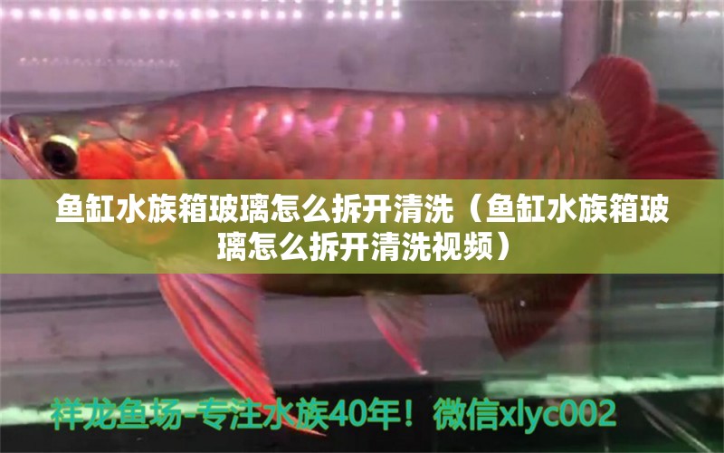 鱼缸水族箱玻璃怎么拆开清洗（鱼缸水族箱玻璃怎么拆开清洗视频）