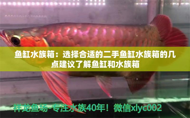 鱼缸水族箱：选择合适的二手鱼缸水族箱的几点建议了解鱼缸和水族箱