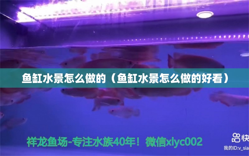 鱼缸水景怎么做的（鱼缸水景怎么做的好看） 祥龙水族医院