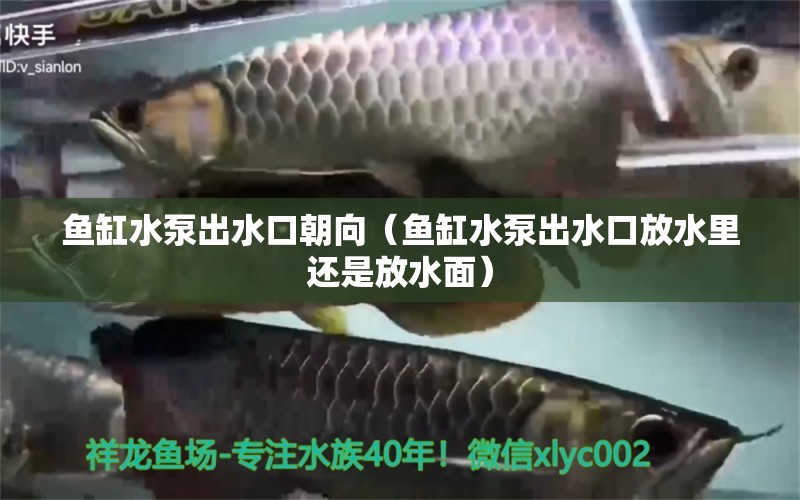 鱼缸水泵出水口朝向（鱼缸水泵出水口放水里还是放水面） 金头过背金龙鱼