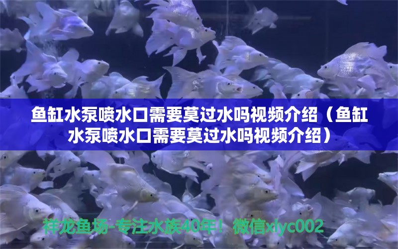 鱼缸水泵喷水口需要莫过水吗视频介绍（鱼缸水泵喷水口需要莫过水吗视频介绍）