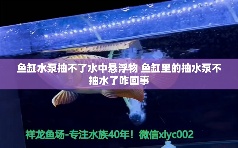 鱼缸水泵抽不了水中悬浮物 鱼缸里的抽水泵不抽水了咋回事