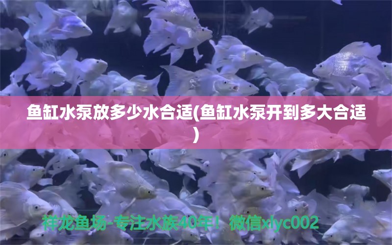 鱼缸水泵放多少水合适(鱼缸水泵开到多大合适) 鱼缸水泵 第1张