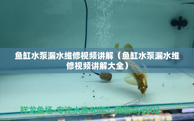 鱼缸水泵漏水维修视频讲解（鱼缸水泵漏水维修视频讲解大全） 鱼缸水泵