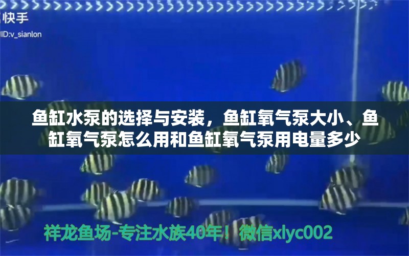 鱼缸水泵的选择与安装，鱼缸氧气泵大小、鱼缸氧气泵怎么用和鱼缸氧气泵用电量多少