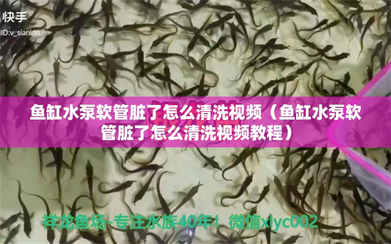 鱼缸水泵软管脏了怎么清洗视频（鱼缸水泵软管脏了怎么清洗视频教程） 鱼缸水泵