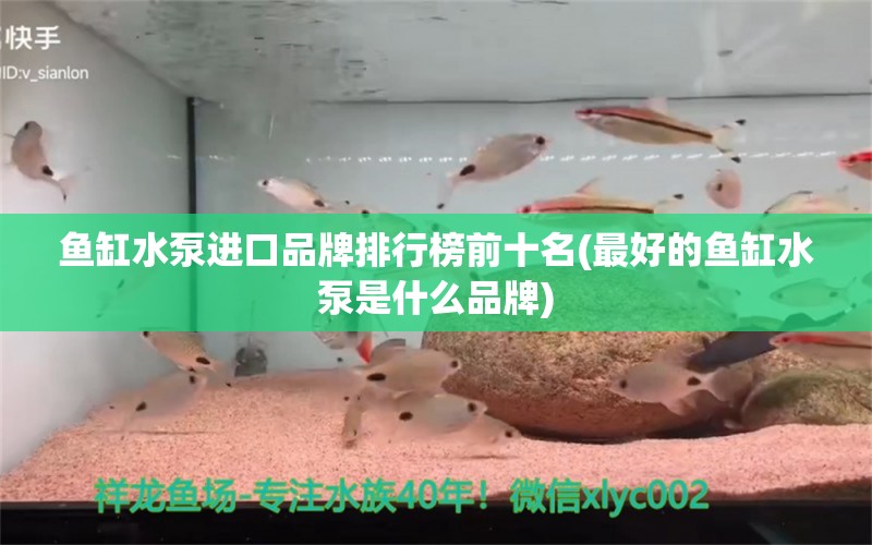 鱼缸水泵进口品牌排行榜前十名(最好的鱼缸水泵是什么品牌) 鱼缸水泵