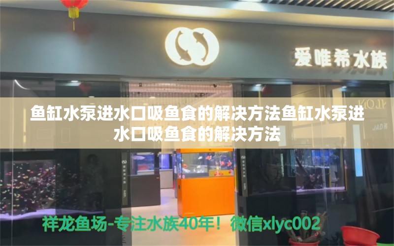 鱼缸水泵进水口吸鱼食的解决方法鱼缸水泵进水口吸鱼食的解决方法