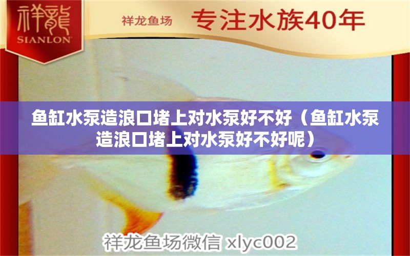 鱼缸水泵造浪口堵上对水泵好不好（鱼缸水泵造浪口堵上对水泵好不好呢） 鱼缸水泵