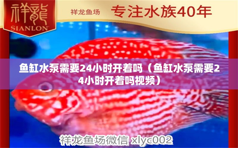 鱼缸水泵需要24小时开着吗（鱼缸水泵需要24小时开着吗视频） 鱼缸水泵