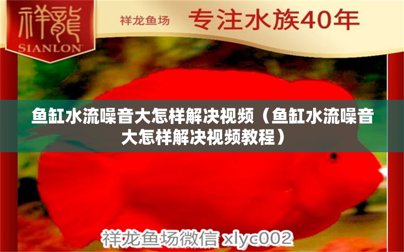 鱼缸水流噪音大怎样解决视频（鱼缸水流噪音大怎样解决视频教程）