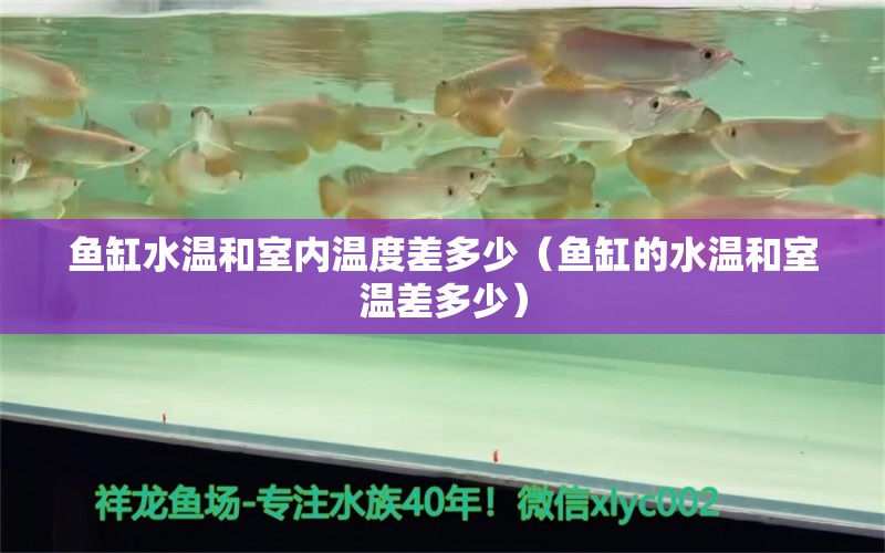 鱼缸水温和室内温度差多少（鱼缸的水温和室温差多少）