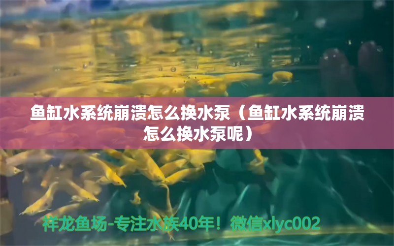 鱼缸水系统崩溃怎么换水泵（鱼缸水系统崩溃怎么换水泵呢）