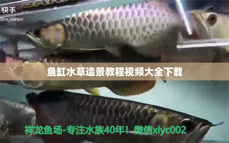 鱼缸水草造景教程视频大全下载 水族问答 第1张