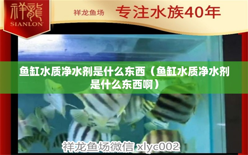 鱼缸水质净水剂是什么东西（鱼缸水质净水剂是什么东西啊） 斯维尼关刀鱼