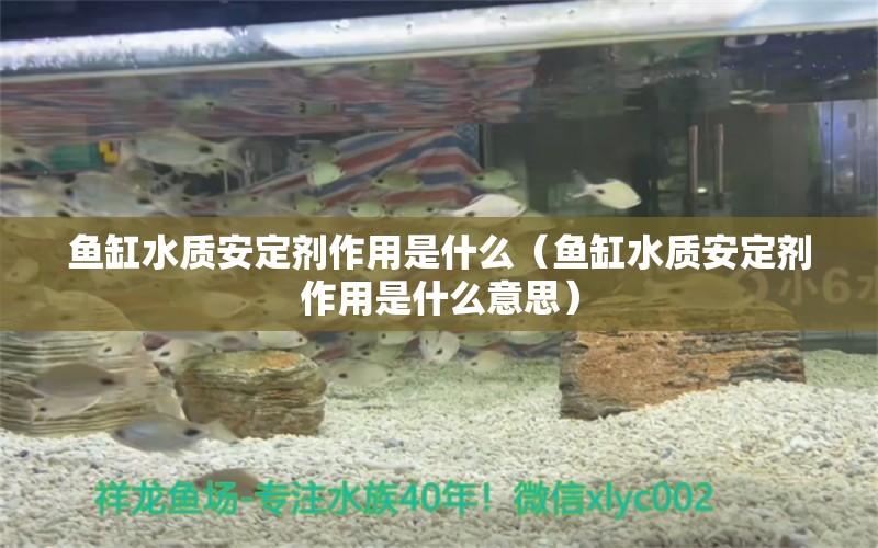 鱼缸水质安定剂作用是什么（鱼缸水质安定剂作用是什么意思）