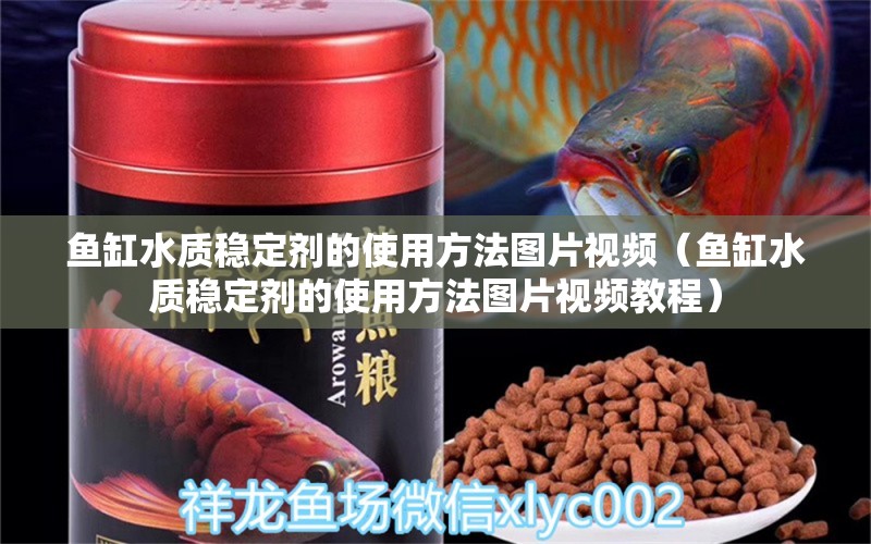 鱼缸水质稳定剂的使用方法图片视频（鱼缸水质稳定剂的使用方法图片视频教程）