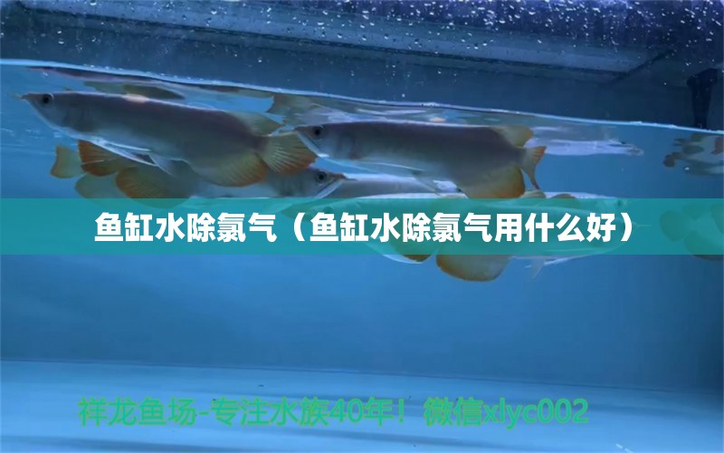 鱼缸水除氯气（鱼缸水除氯气用什么好）