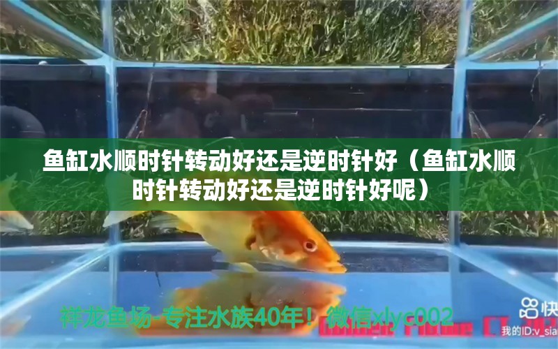 鱼缸水顺时针转动好还是逆时针好（鱼缸水顺时针转动好还是逆时针好呢） 其他品牌鱼缸