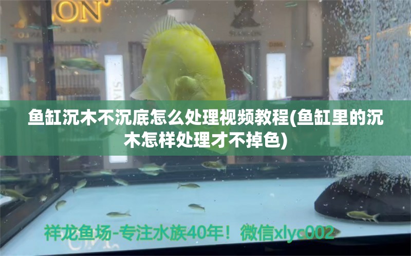 鱼缸沉木不沉底怎么处理视频教程(鱼缸里的沉木怎样处理才不掉色)