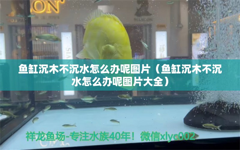 鱼缸沉木不沉水怎么办呢图片（鱼缸沉木不沉水怎么办呢图片大全） 其他品牌鱼缸