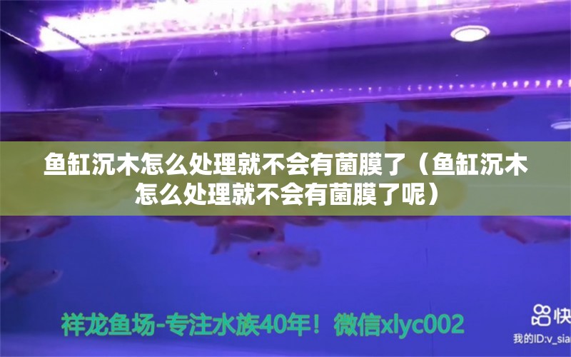 鱼缸沉木怎么处理就不会有菌膜了（鱼缸沉木怎么处理就不会有菌膜了呢）