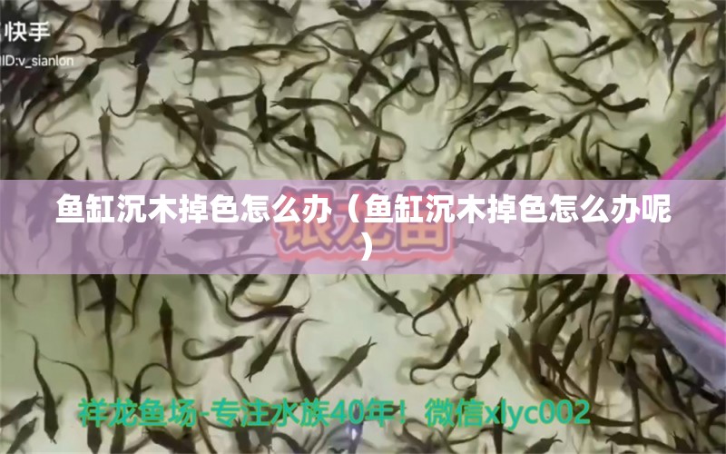 鱼缸沉木掉色怎么办（鱼缸沉木掉色怎么办呢）