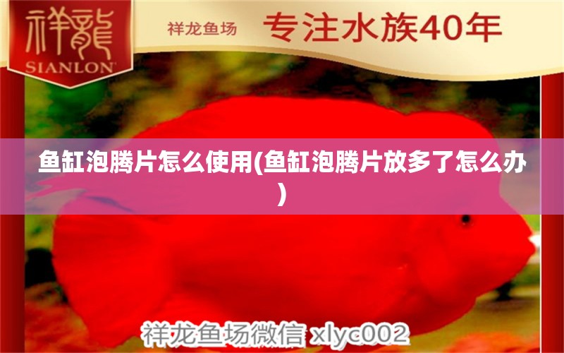 鱼缸泡腾片怎么使用(鱼缸泡腾片放多了怎么办) 定时器/自控系统 第1张