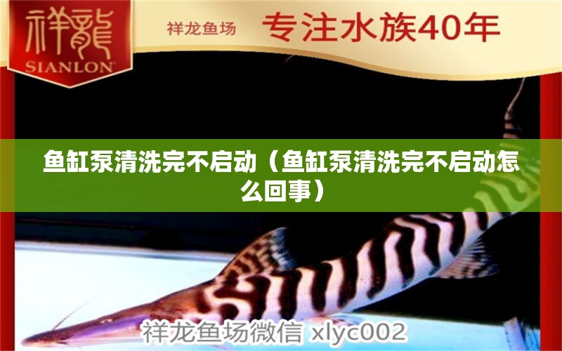 鱼缸泵清洗完不启动（鱼缸泵清洗完不启动怎么回事） 其他品牌鱼缸