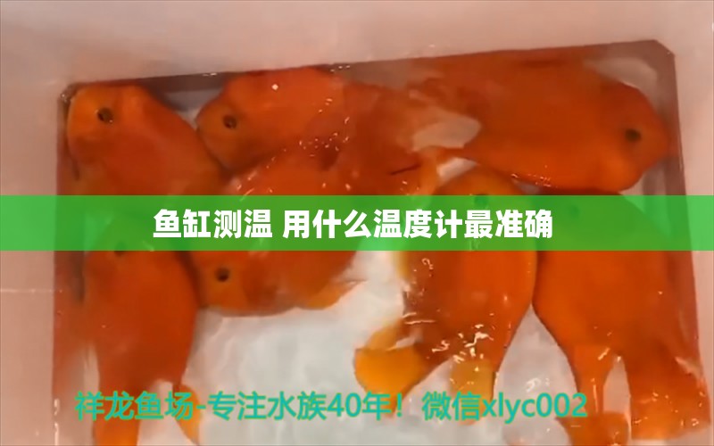 鱼缸测温 用什么温度计最准确 