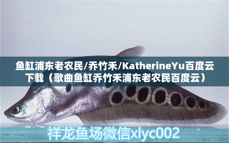 鱼缸浦东老农民/乔竹禾/KatherineYu百度云下载（歌曲鱼缸乔竹禾浦东老农民百度云） 祥龙水族医院