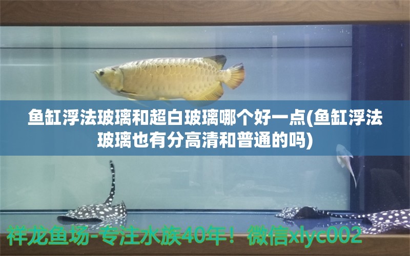 鱼缸浮法玻璃和超白玻璃哪个好一点(鱼缸浮法玻璃也有分高清和普通的吗) 巴西亚鱼苗 第1张