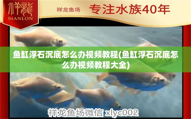 鱼缸浮石沉底怎么办视频教程(鱼缸浮石沉底怎么办视频教程大全) 水族品牌 第1张