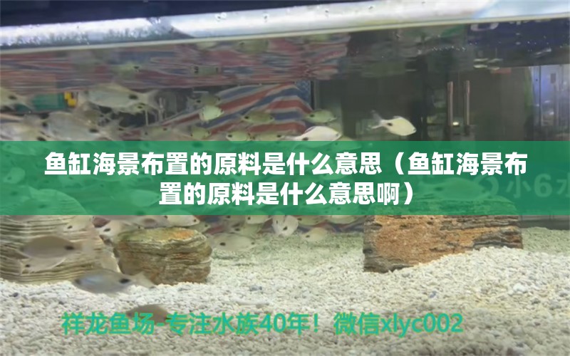 鱼缸海景布置的原料是什么意思（鱼缸海景布置的原料是什么意思啊）