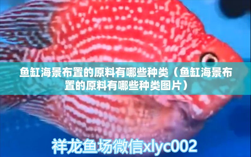 鱼缸海景布置的原料有哪些种类（鱼缸海景布置的原料有哪些种类图片）