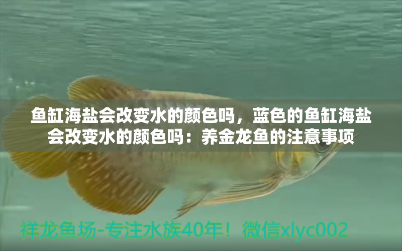 鱼缸海盐会改变水的颜色吗，蓝色的鱼缸海盐会改变水的颜色吗：养金龙鱼的注意事项 鱼缸百科 第2张