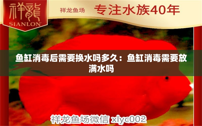 鱼缸消毒后需要换水吗多久：鱼缸消毒需要放满水吗 广州水族批发市场