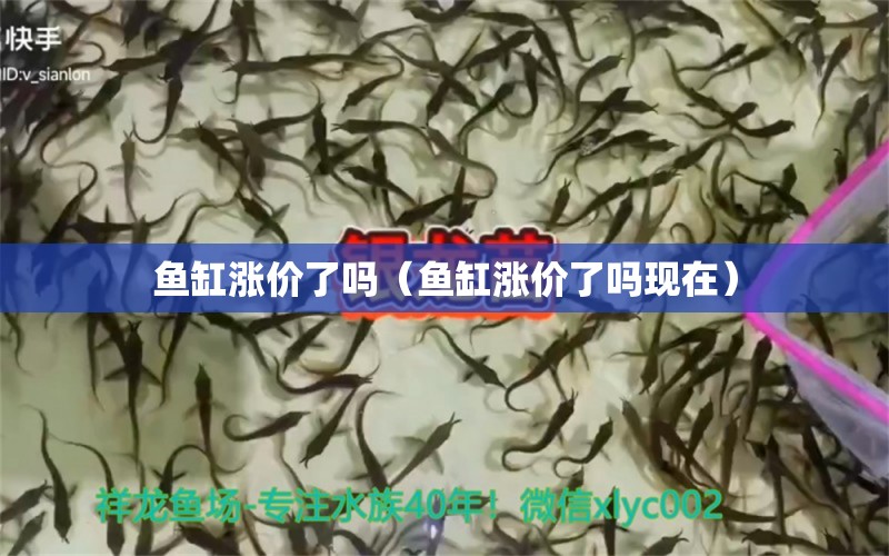 鱼缸涨价了吗（鱼缸涨价了吗现在） 量子养鱼技术