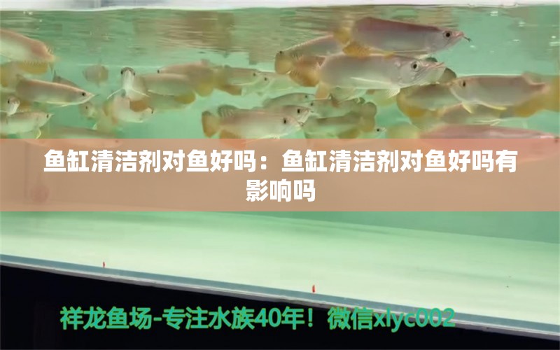 鱼缸清洁剂对鱼好吗：鱼缸清洁剂对鱼好吗有影响吗