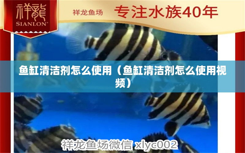 鱼缸清洁剂怎么使用（鱼缸清洁剂怎么使用视频） 祥龙水族医院