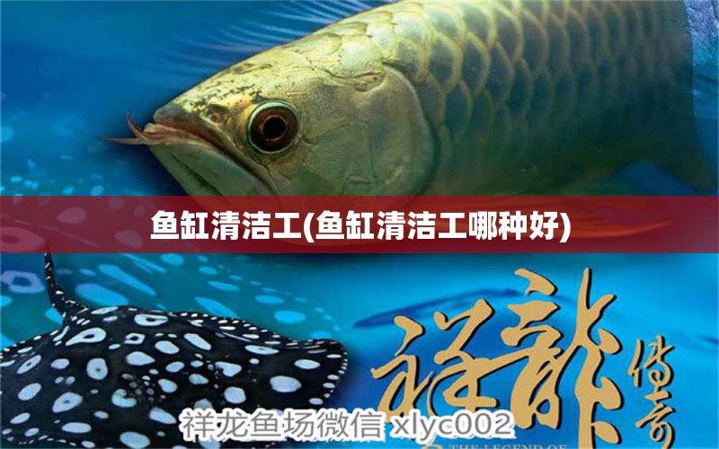 鱼缸清洁工(鱼缸清洁工哪种好) 全国水族馆企业名录