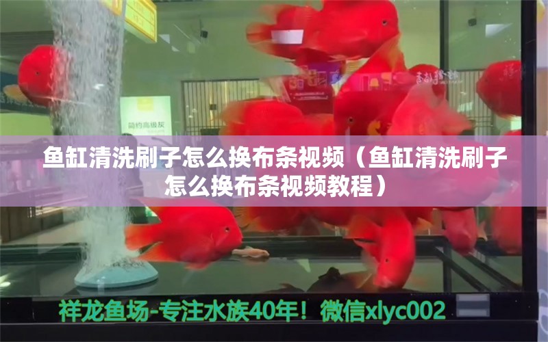 鱼缸清洗刷子怎么换布条视频（鱼缸清洗刷子怎么换布条视频教程）