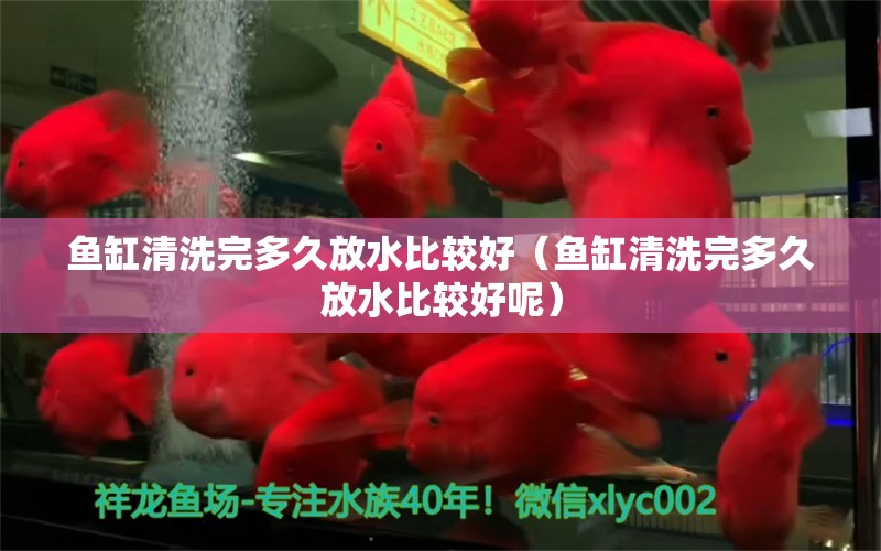 鱼缸清洗完多久放水比较好（鱼缸清洗完多久放水比较好呢） 祥龙水族医院