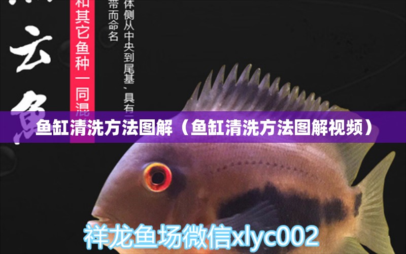 鱼缸清洗方法图解（鱼缸清洗方法图解视频） 祥龙水族医院