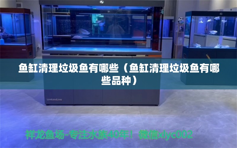 鱼缸清理垃圾鱼有哪些（鱼缸清理垃圾鱼有哪些品种） 祥龙水族医院